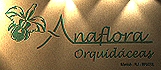Anaflora Banner